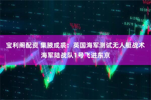 宝利阁配资 集腋成裘：英国海军测试无人艇战术海军陆战队1号飞进东京