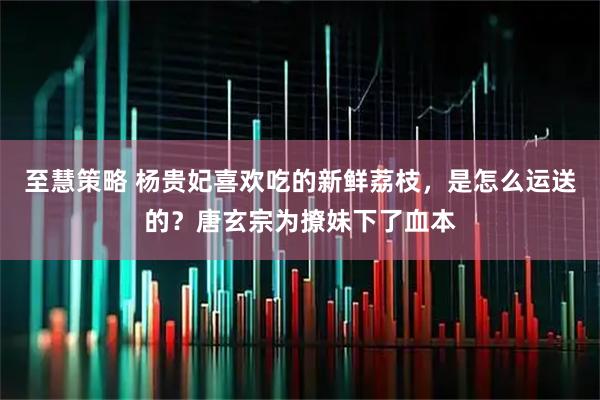 至慧策略 杨贵妃喜欢吃的新鲜荔枝，是怎么运送的？唐玄宗为撩妹下了血本